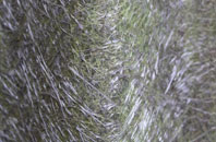 Gilmerton fibreglass roof work